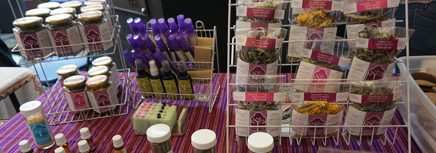 slider-flores-de-vida