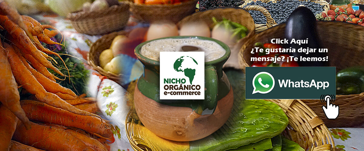 banner-NICHO-2024wme-foro